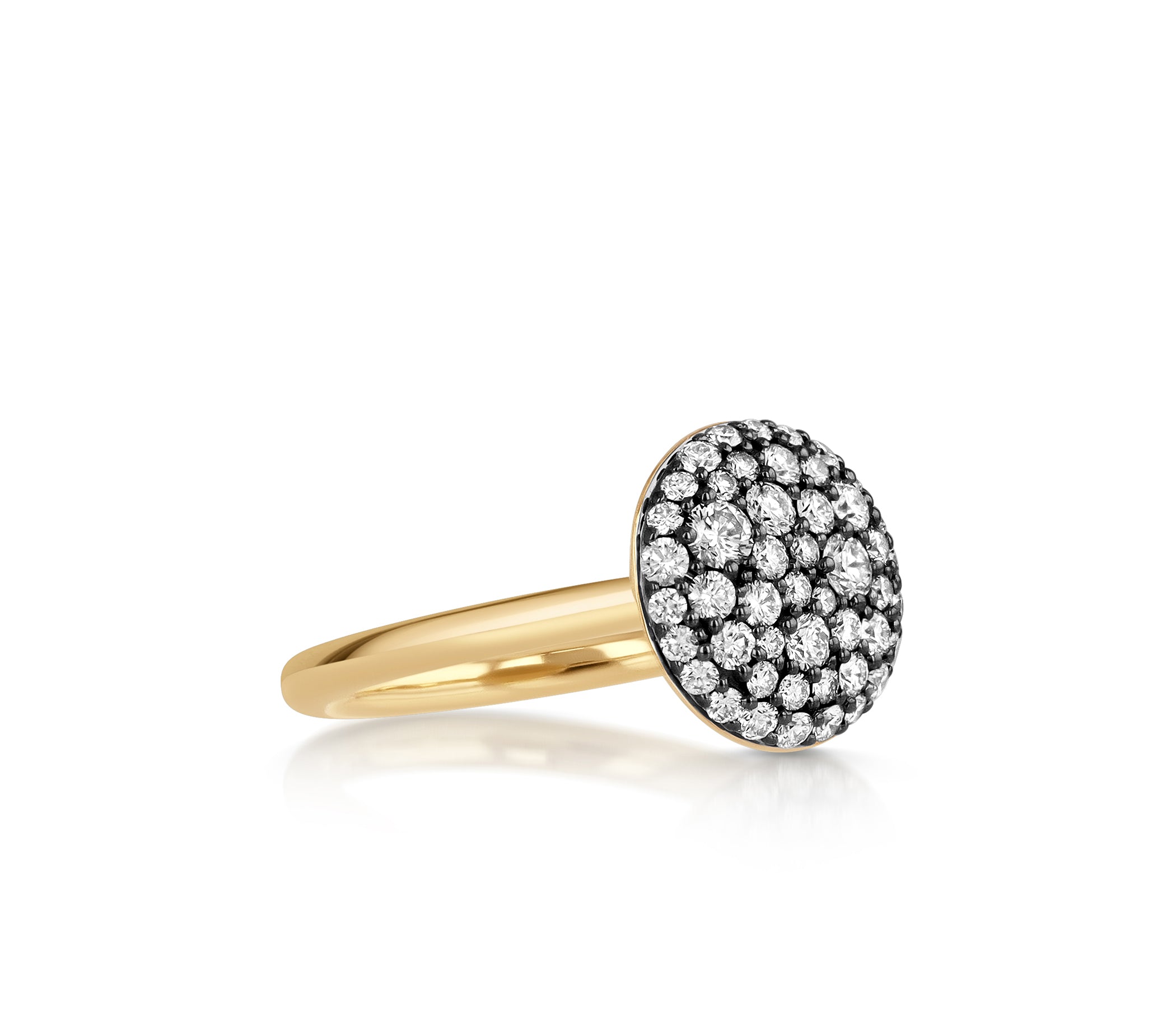 Sideview of the Diamond Prima Ring in 18k yellow gold with a round diamond pave top.