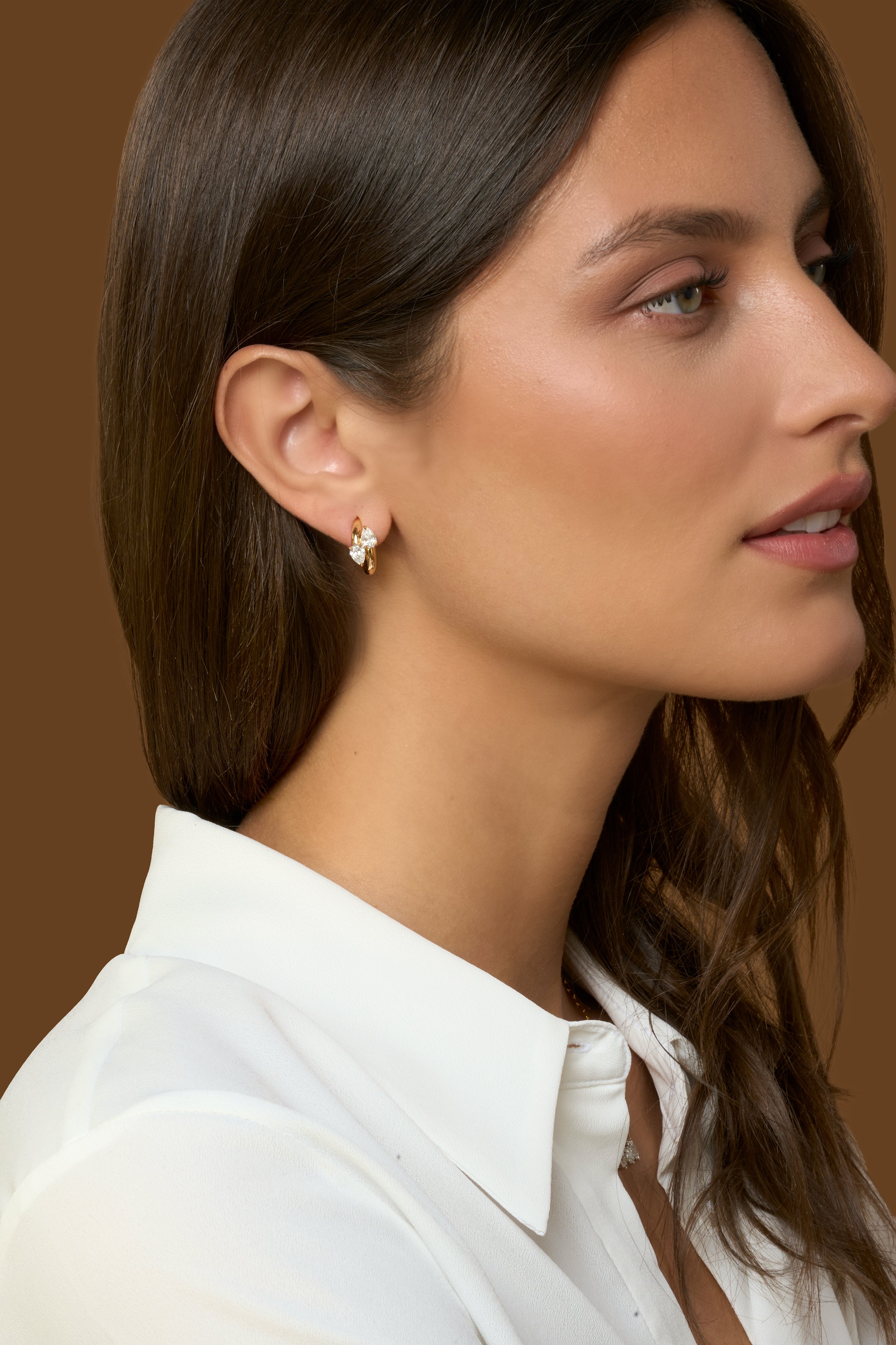 Interlocking Diamond Hoops