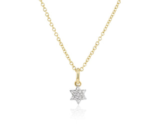 
                
                    Load image into Gallery viewer, Micro Infinity Star of David Necklace
                
            