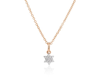 
                
                    Load image into Gallery viewer, Micro Infinity Star of David Necklace
                
            