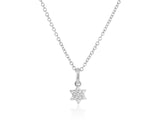 Micro Infinity Star of David Necklace