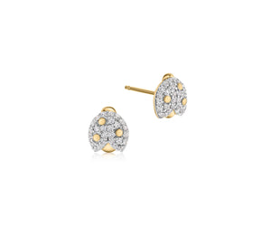 Micro Ladybug Studs