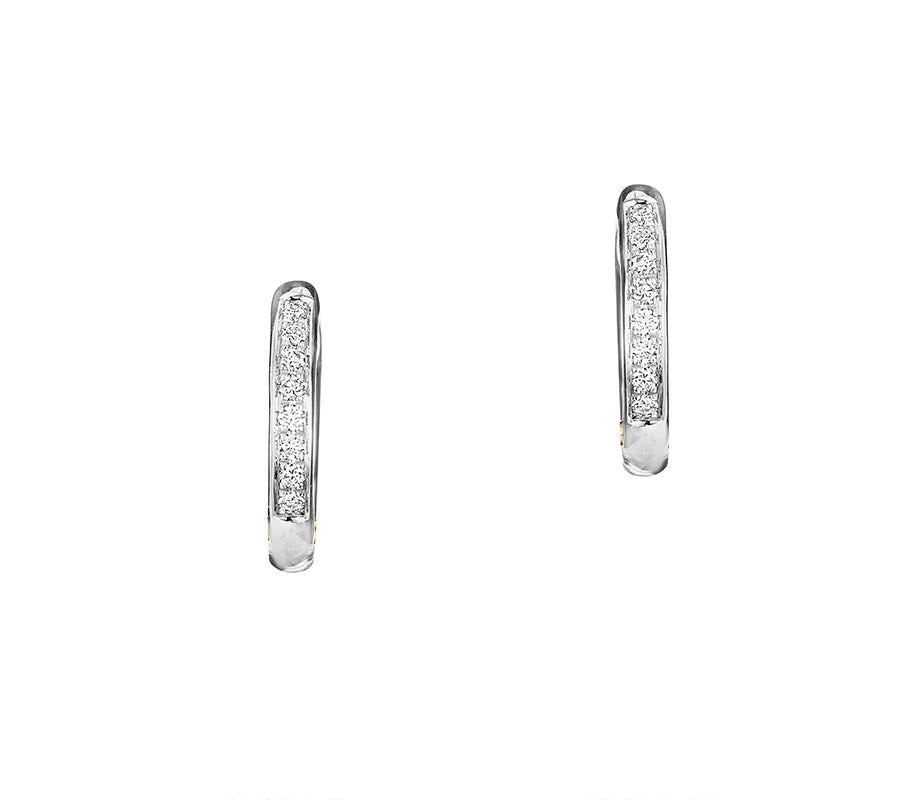 Affair Huggie Earrings