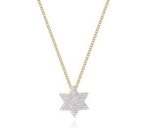 
                
                    Load image into Gallery viewer, Infinity Star of David Necklace
                
            