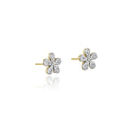 Forget-Me-Not Petite Studs