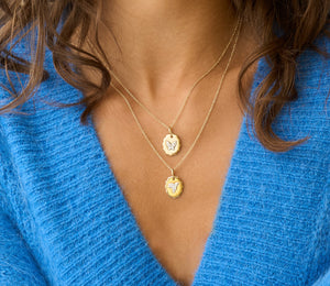Hummingbird Medallion Necklace