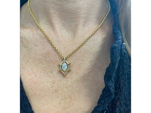 
                
                    Load image into Gallery viewer, Hexagon Cage Necklace
                
            