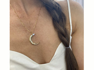 
                
                    Load image into Gallery viewer, Burnished Diamond Crescent Necklace
                
            