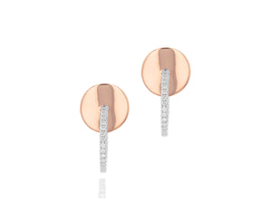 
                
                    Load image into Gallery viewer, Mini Plate Hoop Earrings
                
            
