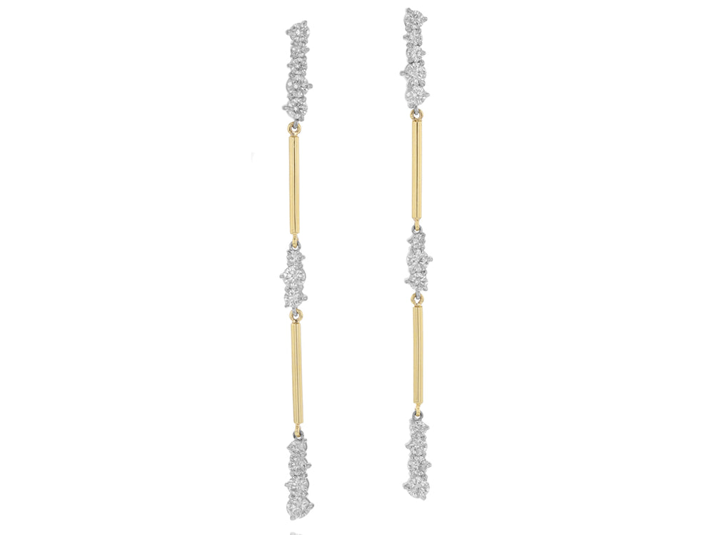 
                
                    Load image into Gallery viewer, Enchanted Drop Section Earrings
                
            