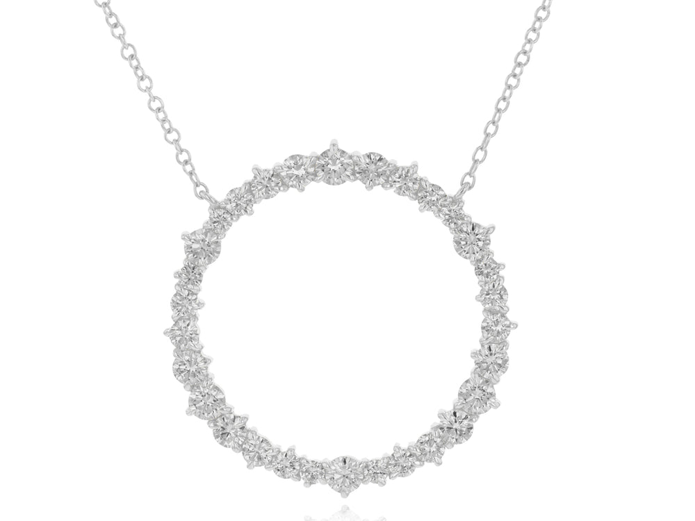 Enchanted Large Loop Necklace
