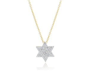 
                
                    Load image into Gallery viewer, Infinity Star of David Necklace
                
            
