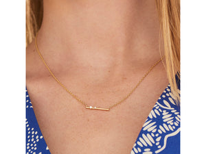 
                
                    Load image into Gallery viewer, Mini Enchanted Bar Necklace
                
            