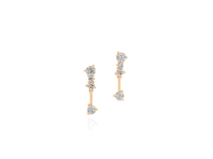 
                
                    Load image into Gallery viewer, Enchanted Petite Drop Earrings
                
            