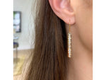 Enchanted Plate Leverback Earrings