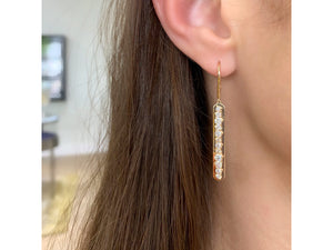 
                
                    Load image into Gallery viewer, Enchanted Plate Leverback Earrings
                
            